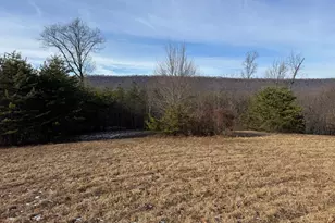 87+/- Acres Haven Ln, Warfordsburg, PA 17267 - Photo 110