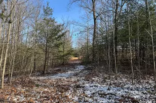 87+/- Acres Haven Ln, Warfordsburg, PA 17267 - Photo 94