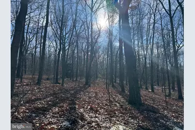 87+/- Acres Haven Ln, Warfordsburg, PA 17267 - Photo 34