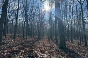 87+/- Acres Haven Ln, Warfordsburg, PA 17267 - Photo 34