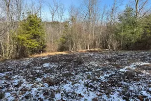 87+/- Acres Haven Ln, Warfordsburg, PA 17267 - Photo 112