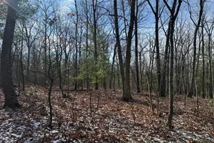 87+/- Acres Haven Ln, Warfordsburg, PA 17267 - Photo 32