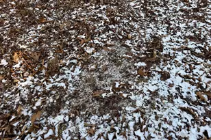 87+/- Acres Haven Ln, Warfordsburg, PA 17267 - Photo 100