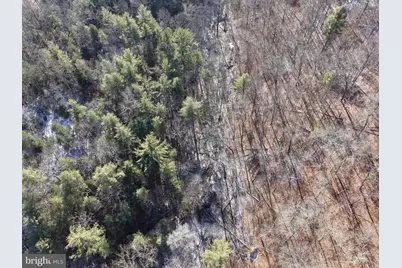 87+/- Acres Haven Ln, Warfordsburg, PA 17267 - Photo 22
