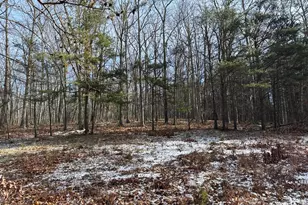 87+/- Acres Haven Ln, Warfordsburg, PA 17267 - Photo 136