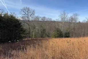 87+/- Acres Haven Ln, Warfordsburg, PA 17267 - Photo 68