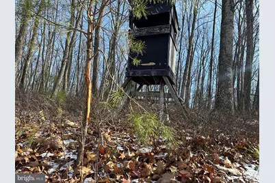 87+/- Acres Haven Ln, Warfordsburg, PA 17267 - Photo 120