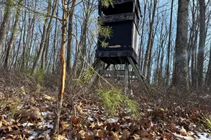 87+/- Acres Haven Ln, Warfordsburg, PA 17267 - Photo 120