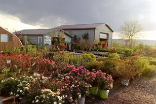 1814 N Iron Bridge Rd, Hustontown, PA 17229 - Photo 1