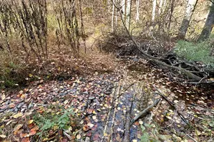 7100 Pleasant Ridge Rd, Harrisonville, PA 17228 - Photo 34