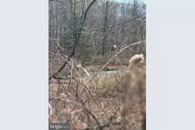 [Address not provided], McConnellsburg, PA 17233 - Photo 38