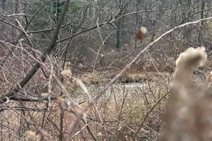 [Address not provided], McConnellsburg, PA 17233 - Photo 38