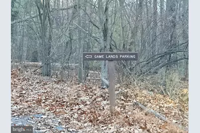 262 Jamie Road, McConnellsburg, PA 17233 - Photo 34