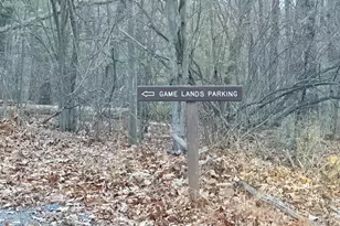 262 Jamie Rd, McConnellsburg, PA 17233 - Photo 34