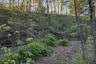 201 Hoover Rd, Waterfall, PA 16689 - Photo 52