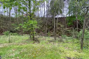 201 Hoover Rd, Waterfall, PA 16689 - Photo 42