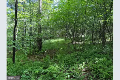 19.104+/- Acres McKees Gap Rd, Warfordsburg, PA 17267 - Photo 24
