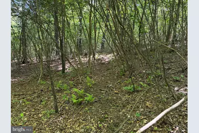 19.104+/- Acres McKees Gap Rd, Warfordsburg, PA 17267 - Photo 38