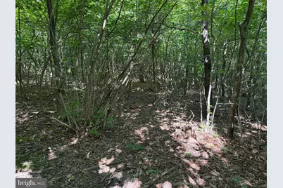 19.104+/- Acres McKees Gap Rd, Warfordsburg, PA 17267 - Photo 18