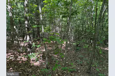 19.104+/- Acres McKees Gap Rd, Warfordsburg, PA 17267 - Photo 16