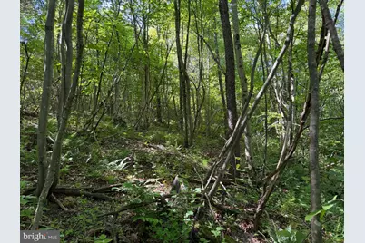 19.104+/- Acres McKees Gap Rd, Warfordsburg, PA 17267 - Photo 36