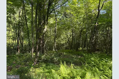 19.104+/- Acres McKees Gap Rd, Warfordsburg, PA 17267 - Photo 26
