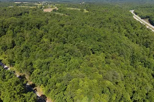 19 104+/- Acres McKees Gap Rd, Warfordsburg, PA 17267 - Photo 1