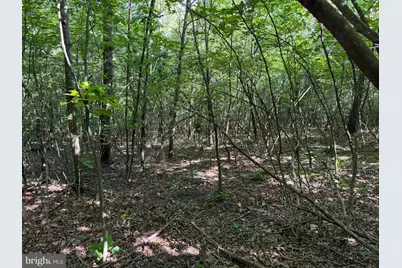 19.104+/- Acres McKees Gap Rd, Warfordsburg, PA 17267 - Photo 22