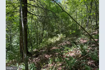 19.104+/- Acres McKees Gap Rd, Warfordsburg, PA 17267 - Photo 32