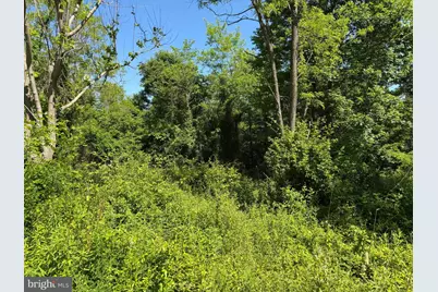 19.104+/- Acres McKees Gap Rd, Warfordsburg, PA 17267 - Photo 46