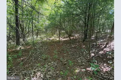 19.104+/- Acres McKees Gap Rd, Warfordsburg, PA 17267 - Photo 40