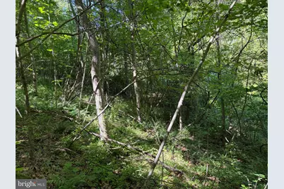19.104+/- Acres McKees Gap Rd, Warfordsburg, PA 17267 - Photo 28