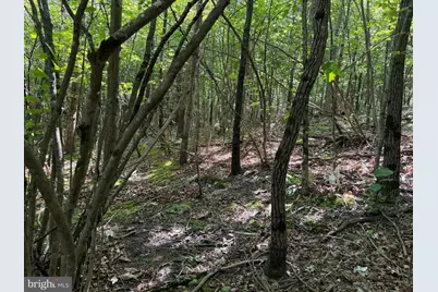 19.104+/- Acres McKees Gap Rd, Warfordsburg, PA 17267 - Photo 20