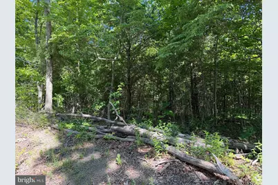 19.104+/- Acres McKees Gap Rd, Warfordsburg, PA 17267 - Photo 12