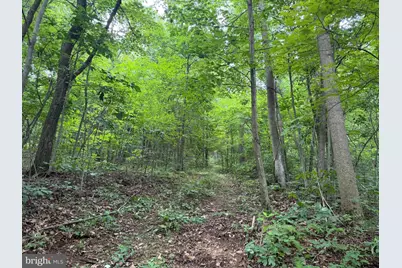 Tract 1: 38.83/- Acres At 952 Fischer Rd, Warfordsburg, PA 17267 - Photo 20