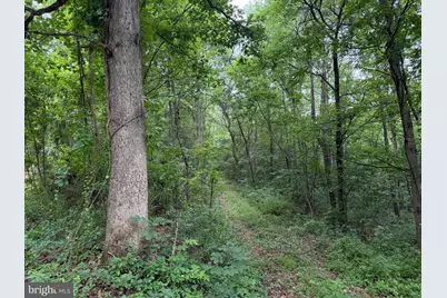 Tract 1: 38.83/- Acres At 952 Fischer Rd, Warfordsburg, PA 17267 - Photo 24