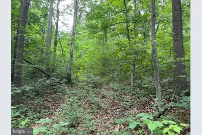 Tract 1: 38.83/- Acres At 952 Fischer Rd, Warfordsburg, PA 17267 - Photo 28
