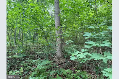 Tract 1: 38.83/- Acres At 952 Fischer Rd, Warfordsburg, PA 17267 - Photo 14