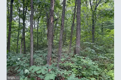 Tract 1: 38.83/- Acres At 952 Fischer Rd, Warfordsburg, PA 17267 - Photo 26