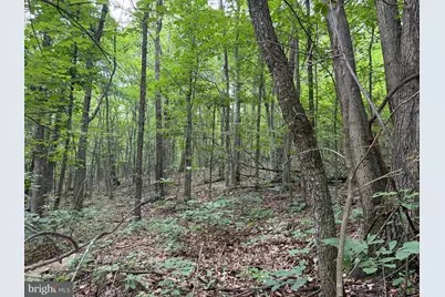 Tract 1: 38.83/- Acres At 952 Fischer Rd, Warfordsburg, PA 17267 - Photo 22
