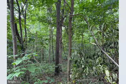 Tract 2: 30.99+/- Acres At 872 Fischer Rd, Warfordsburg, PA 17267 - Photo 20