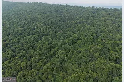 Tract 2: 30.99+/- Acres At 872 Fischer Rd, Warfordsburg, PA 17267 - Photo 1