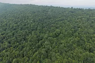 Tract 2: 30 99+/- Acres At 872 Fischer Rd, Warfordsburg, PA 17267 - Photo 1