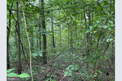 Tract 2: 30.99+/- Acres At 872 Fischer Rd, Warfordsburg, PA 17267 - Photo 16