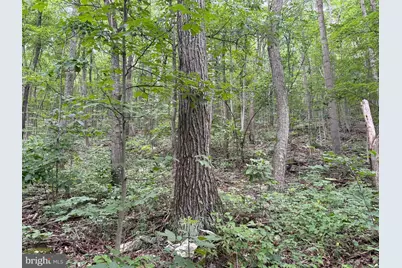Tract 2: 30.99+/- Acres At 872 Fischer Rd, Warfordsburg, PA 17267 - Photo 4