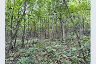 Tract 2: 30.99+/- Acres At 872 Fischer Rd, Warfordsburg, PA 17267 - Photo 26