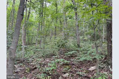 Tract 2: 30.99+/- Acres At 872 Fischer Rd, Warfordsburg, PA 17267 - Photo 12
