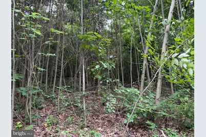 Tract 3: 22.32+/- Acres At 2668 Moss Rd, Warfordsburg, PA 17267 - Photo 18