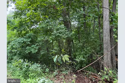 Tract 3: 22.32+/- Acres At 2668 Moss Rd, Warfordsburg, PA 17267 - Photo 10