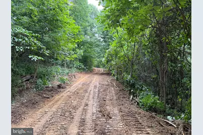 Tract 3: 22.32+/- Acres At 2668 Moss Rd, Warfordsburg, PA 17267 - Photo 6